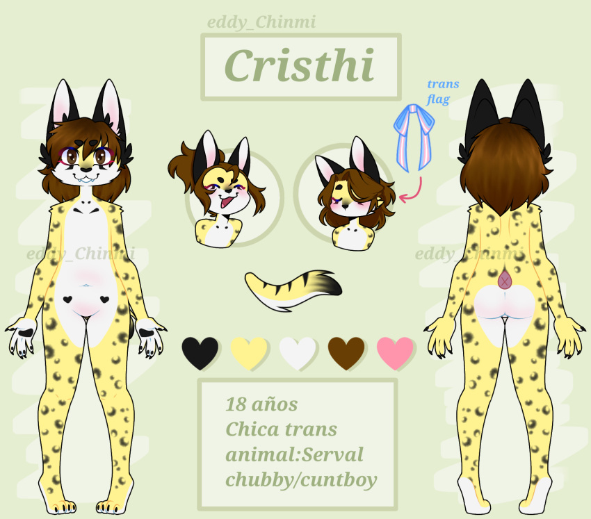 andromorph anthro cristhi eddy_chinmi felid feline fur hi_res intersex lgbt_pride mammal model_sheet pride_colors serval slightly_chubby solo trans_(lore) transgender_pride_colors yellow_body yellow_fur