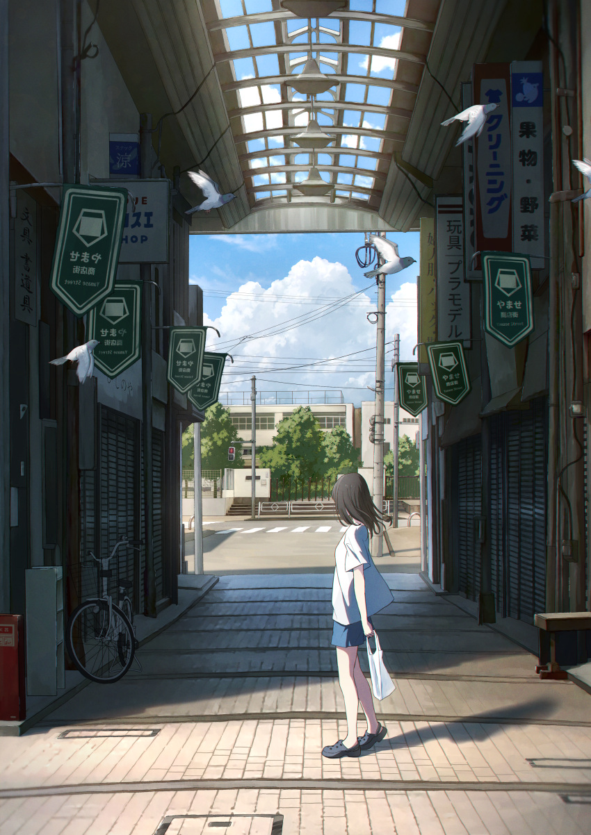 1girl absurdres anyotete bag bicycle bird black_hair blue_sky cloud commentary_request crosswalk day ground_vehicle highres holding holding_bag original outdoors pigeon plastic_bag power_lines road scenery shadow short_hair sky solo summer utility_pole
