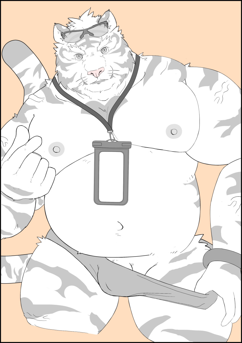 2022 absurd_res anthro biped bulge clothing felid genitals hi_res humanoid_hands kemono maguro male mammal musclegut pantherine penis simple_background solo tiger underwear
