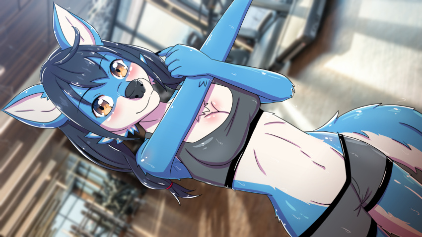anthro artoonu athletic blue_body blue_skin bodily_fluids bra canid canine clothing female fitness fitness_center hi_res looking_at_viewer mammal photo_background smile smiling_at_viewer solo sport sports_bra sportswear standing stretching sweat underwear yellow_eyes