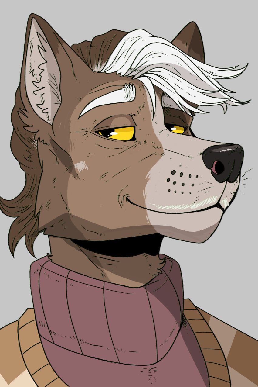 absurd_res anthro black_nose brown_body brown_fur brown_hair bust_portrait canid cheek_tuft eyebrows facial_tuft front_view fur glistening glistening_eyes glistening_nose grey_background grey_body grey_fur grey_inner_ear_fluff hair hi_res imperatorcaesar inner_ear_fluff male mammal mouth_closed narrowed_eyes portrait simple_background smile solo tuft unsigned white_eyebrows white_hair