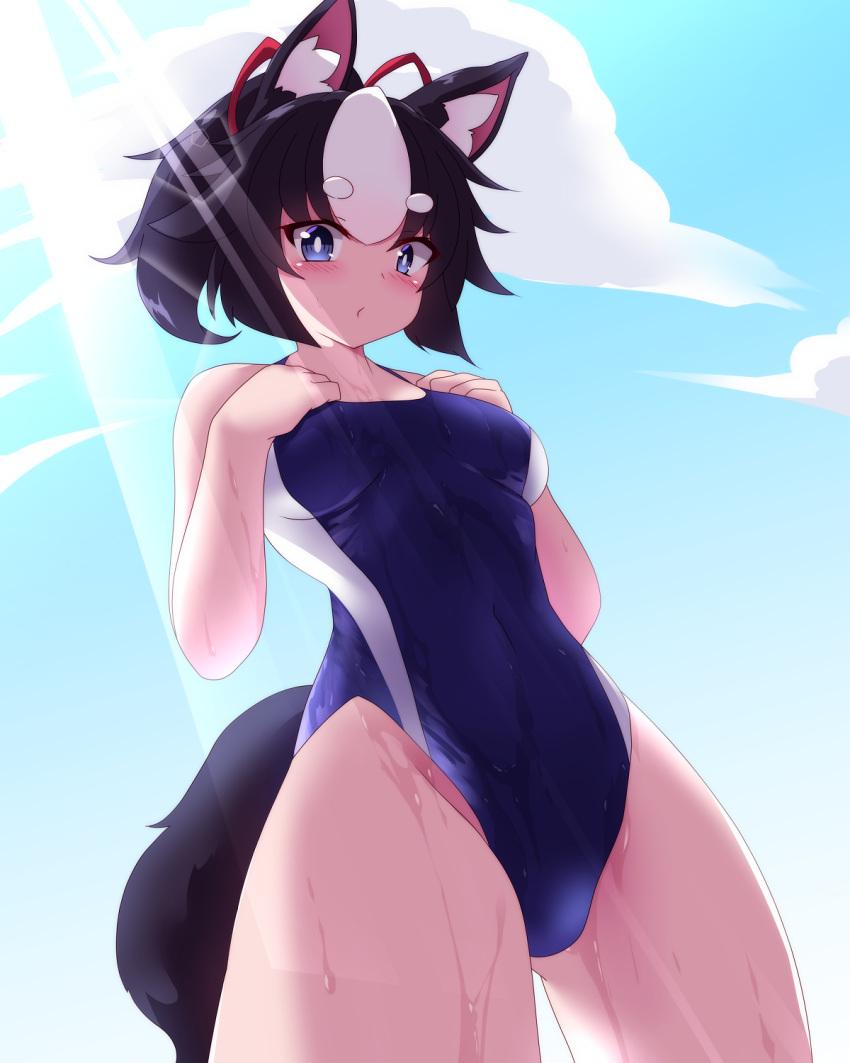 1girl animal_ears blue_sky blue_swimsuit breasts cloud commentary_request competition_swimsuit cowboy_shot dog_ears dog_tail highleg highleg_swimsuit highres one-piece_swimsuit original sivamaron sky small_breasts solo standing swimsuit tail