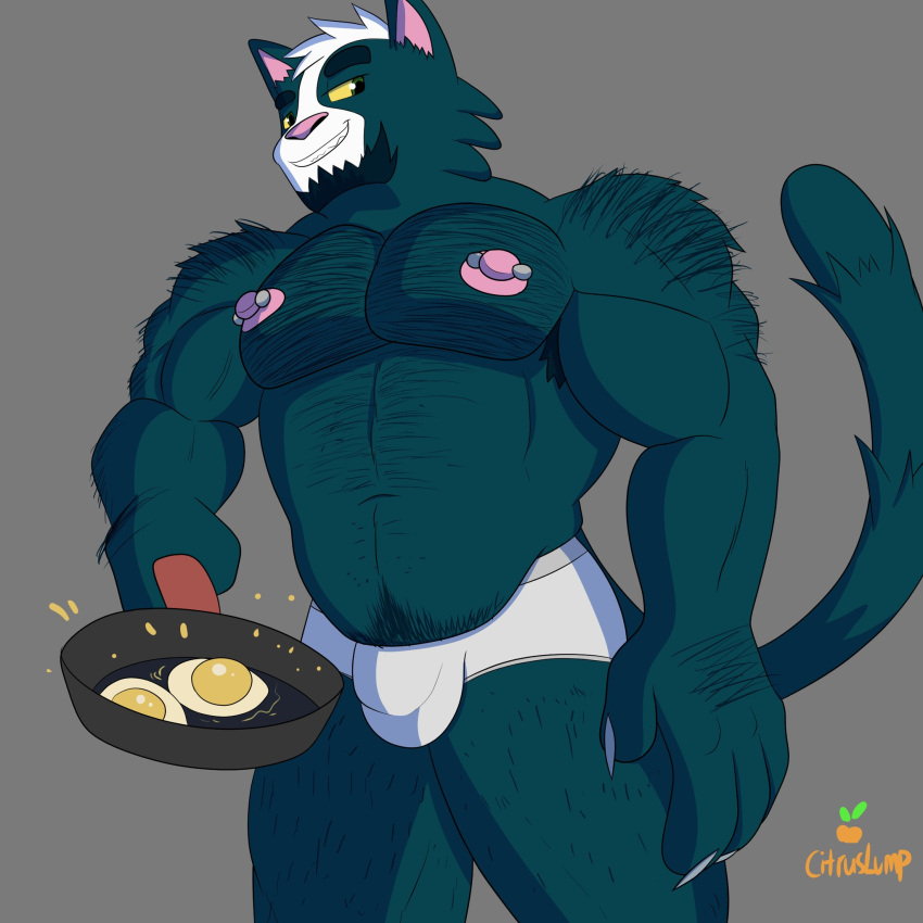 anthro avocato breakfast bulge citrus_lump claws clothing cooking cookware egg facial_hair felid final_space frying_pan fur goatee hi_res kitchen_utensils looking_down male mammal muscular muscular_anthro muscular_male nipple_piercing nipples pecs piercing raised_tail smile smirk solo thick_thighs tools underwear ventrexian