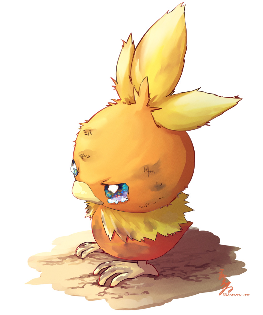 animal_focus blue_eyes commentary_request dirty from_side full_body highres no_humans pokemon pokemon_(creature) signature solo tearing_up torchic uyumaru_art white_background