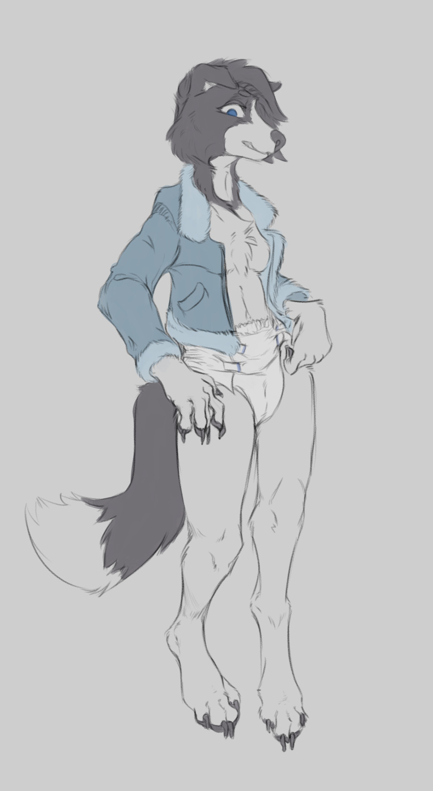 absurd_res anthro bomber_jacket border_collie breasts canid canine canis collie diaper domestic_dog female fur herding_dog hi_res katlin katlin_perkins looking_at_viewer mammal pastoral_dog paws sheepdog solo standing