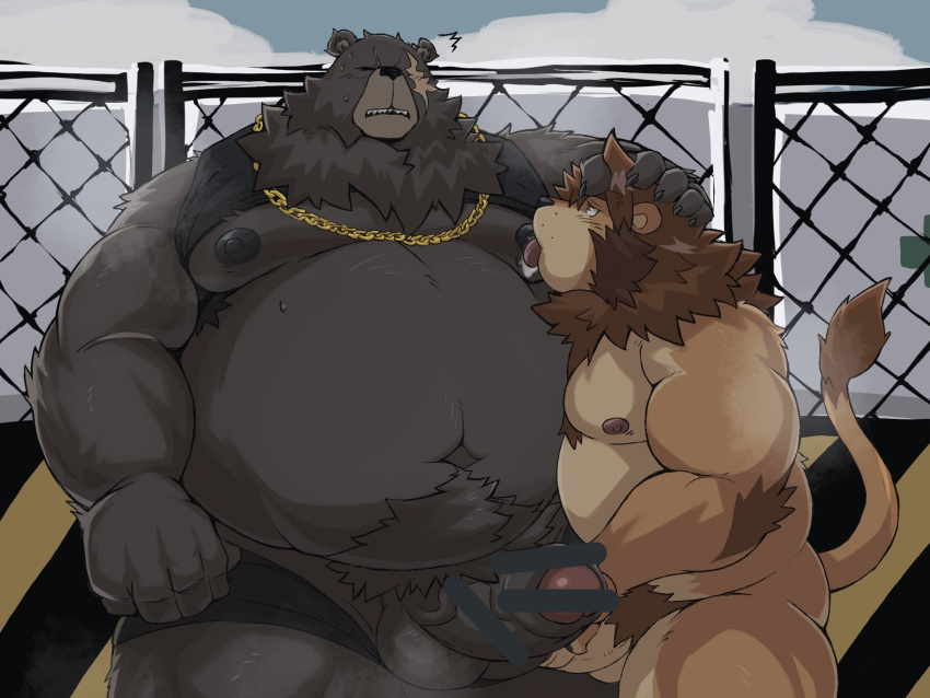 anthro balls belly ben_(zenless_zone_zero) big_balls big_belly big_penis black_nipples blush bodily_fluids brown_bear censored chain chubby_male clothed clothing duo erection eye_scar facial_scar felid female foreskin fur genitals grizzly_bear gunso_p hi_res holding_penis huge_balls huge_penis humanoid_genitalia humanoid_penis kemono licking lion looking_pleasured male male/female male/male mammal mihoyo neck_tuft nipple_fetish nipple_lick nipple_play nipples pantherine partially_clothed penis raised_clothing raised_shirt raised_topwear ross_(rossciaco) saliva scar shirt slightly_chubby sweat tongue tongue_out topwear tuft underwear underwear_down ursid ursine video_games zenless_zone_zero