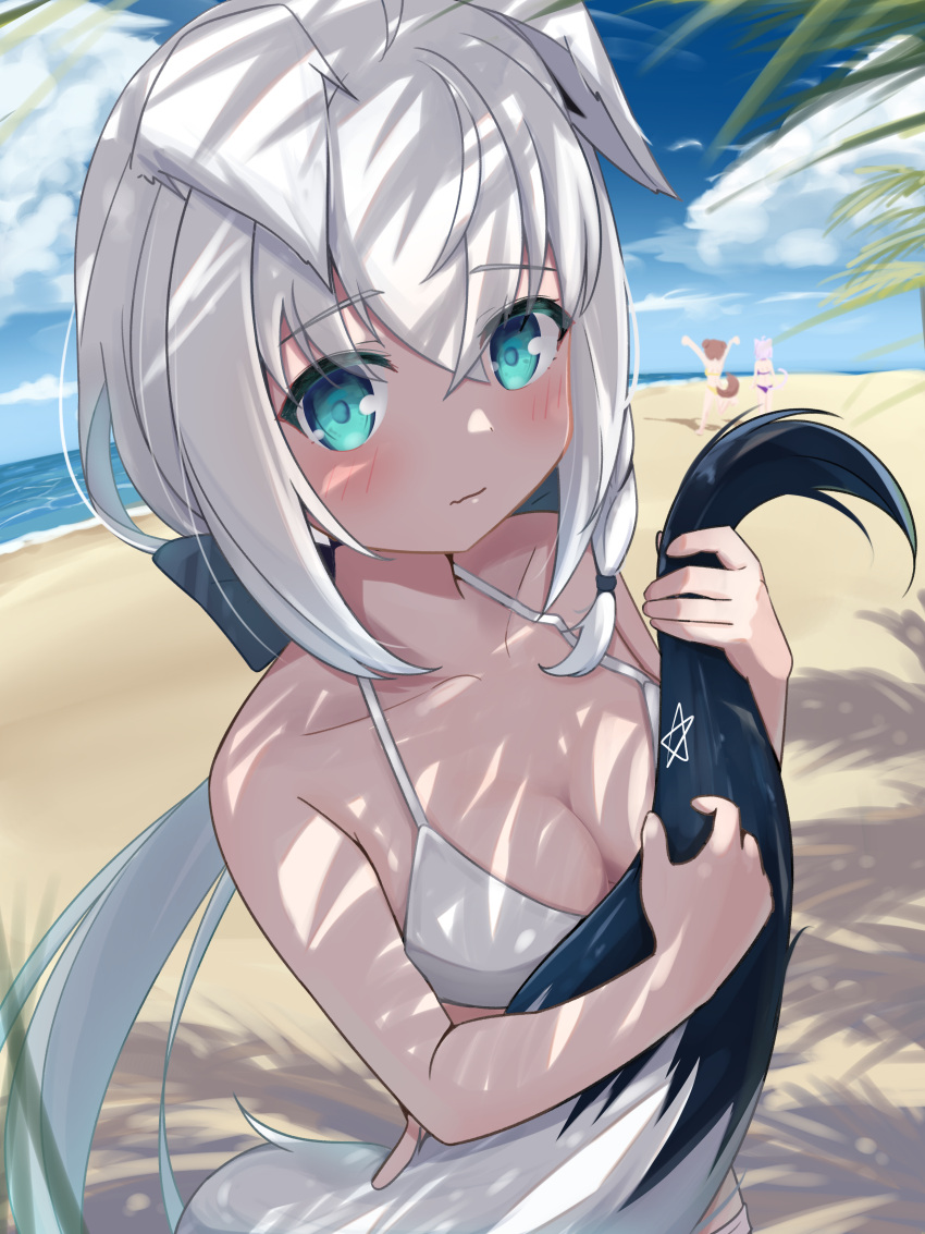 3girls absurdres animal_ear_fluff animal_ears arms_up bangs beach bikini black_bow blush bow braid breasts cleavage cloud cloudy_sky commentary_request day ears_down fox_ears fox_girl fox_tail green_eyes hair_between_eyes hair_bow highres holding_tail hololive inugami_korone long_hair looking_at_viewer medium_breasts morotade_kudou multiple_girls nekomata_okayu ocean outdoors palm_tree pentagram purple_bikini shadow shirakami_fubuki sidelocks single_braid sky smile swimsuit tail tree virtual_youtuber white_bikini white_hair yellow_bikini