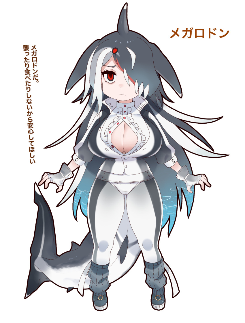 1girl absurdres arms_at_sides bags_under_eyes bangs black_hair blue_hair breasts buttons center_frills center_opening chafuwako character_name chibi cleavage closed_mouth collared_jacket dorsal_fin empty_eyes eyelashes fingerless_gloves fish_tail frills full_body furrowed_brow gloves grey_hair gym_pants hair_ornament hair_over_one_eye head_fins highres huge_breasts jacket kemono_friends legs_apart long_hair megalodon_(komono_friends)_(chafuwako) multicolored_hair original pale_skin pants partially_unbuttoned red_eyes red_hair shark_girl shark_tail shirt shoes simple_background solo standing tail translation_request very_long_hair white_background white_hair