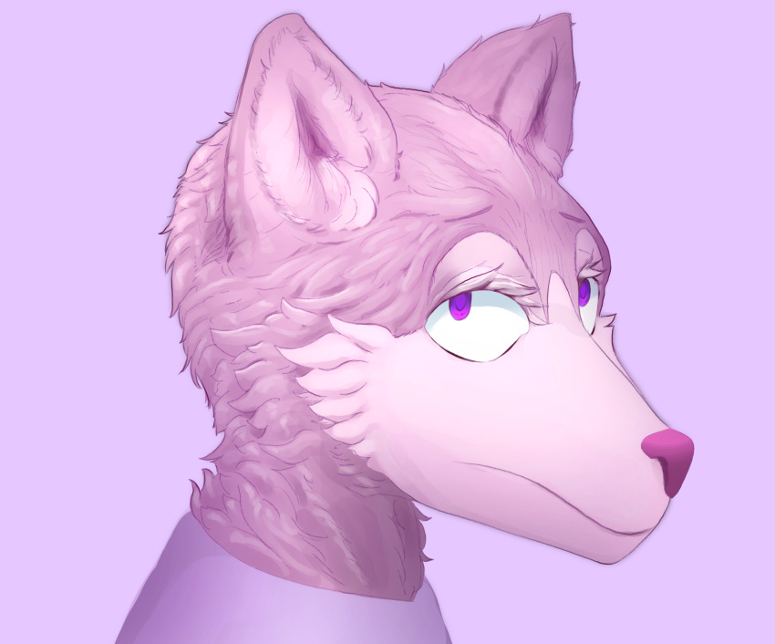 absurd_res ambiguous_gender anthro cheek_tuft clothing facial_tuft fluffy fur headshot_portrait hi_res looking_at_viewer nonbinary_(lore) pink_background pink_body pink_fur pink_nose portrait purple_eyes shirt short_ears simple_background solo stare topwear tuft