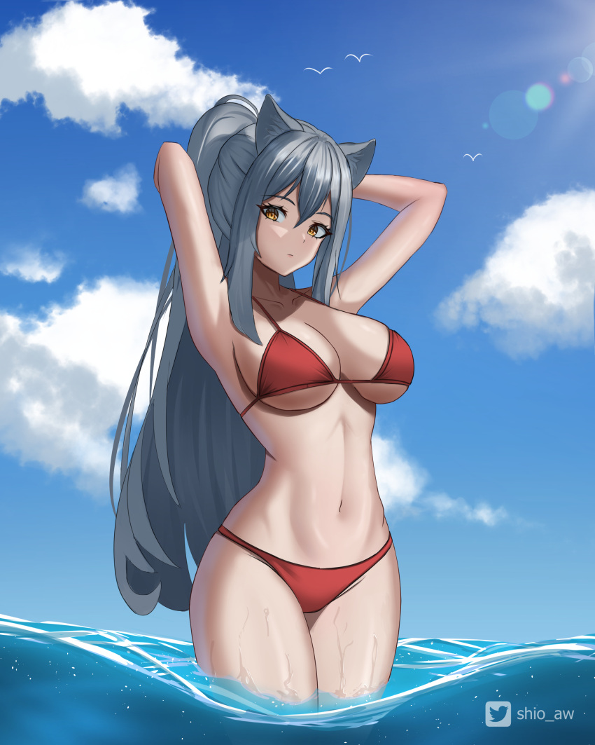 1girl absurdres animal_ears arknights armpits arms_up bangs bikini blue_sky breasts cat_ears cloud commentary cowboy_shot day grey_hair groin hair_between_eyes highres large_breasts long_hair navel outdoors ponytail red_bikini schwarz_(arknights) shio_aw sky solo standing stomach swimsuit thighs very_long_hair wading water yellow_eyes