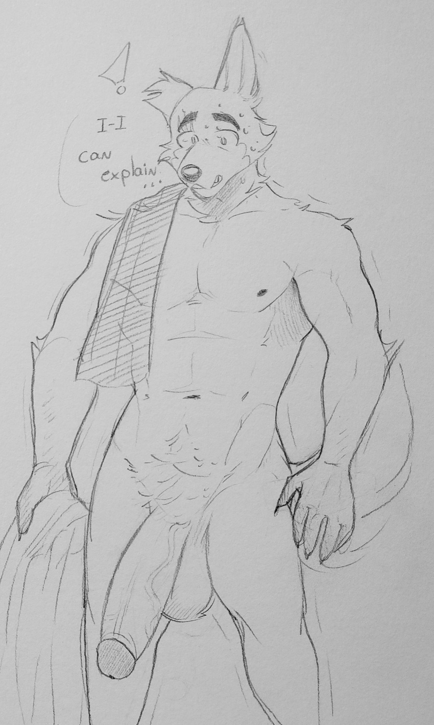 anthro balls beastars big_penis black_and_white canid canine canis caught genitals half-erect hi_res legoshi_(beastars) lewd_bunnie male mammal monochrome nude penis pubes sketch solo three-quarter_view towel vein veiny_penis wolf