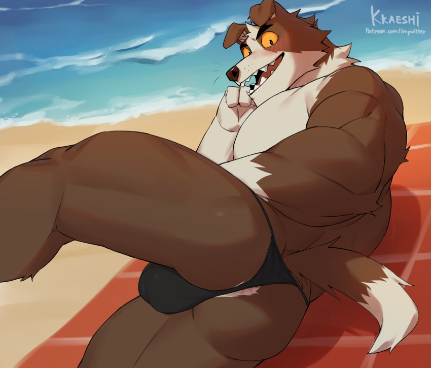 2022 anthro anus barely_visible_anus beach biped blush brown_body brown_fur bulge butt canid canine canis countershading digital_media_(artwork) domestic_dog fur gakujo hi_res looking_at_viewer looking_back looking_back_at_viewer lying male mammal multicolored_body multicolored_fur muscular muscular_anthro muscular_male on_side open_mouth open_smile seaside sharp_teeth smile solo teeth two_tone_body two_tone_fur white_body white_fur yellow_eyes