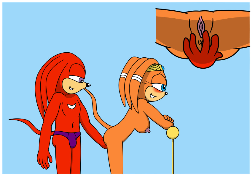 absurd_res anthro anus briefs clothed clothed/nude clothed_male_nude_female clothing echidna female genitals hi_res knuckles_the_echidna male male/female mammal monotreme nude pussy pussy_rubbing sega sonic_adventure sonic_the_hedgehog_(series) tikal_the_echidna underwear young