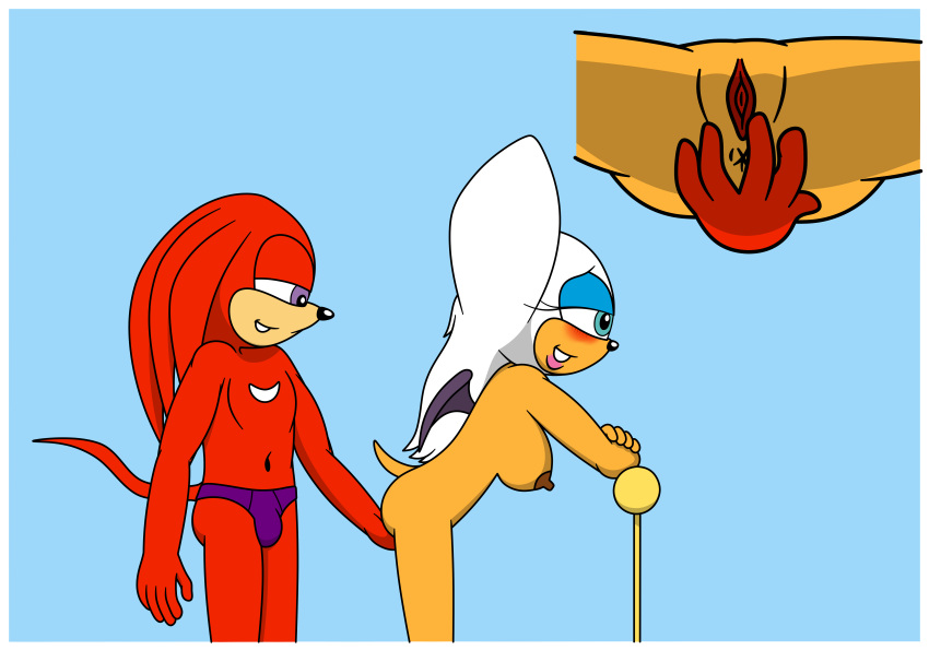 absurd_res anthro anus briefs chiropteran clothed clothed/nude clothed_male_nude_female clothing echidna female genitals hi_res knuckles_the_echidna male male/female mammal monotreme nude pussy pussy_rubbing rouge_the_bat sega sonic_the_hedgehog_(series) underwear young