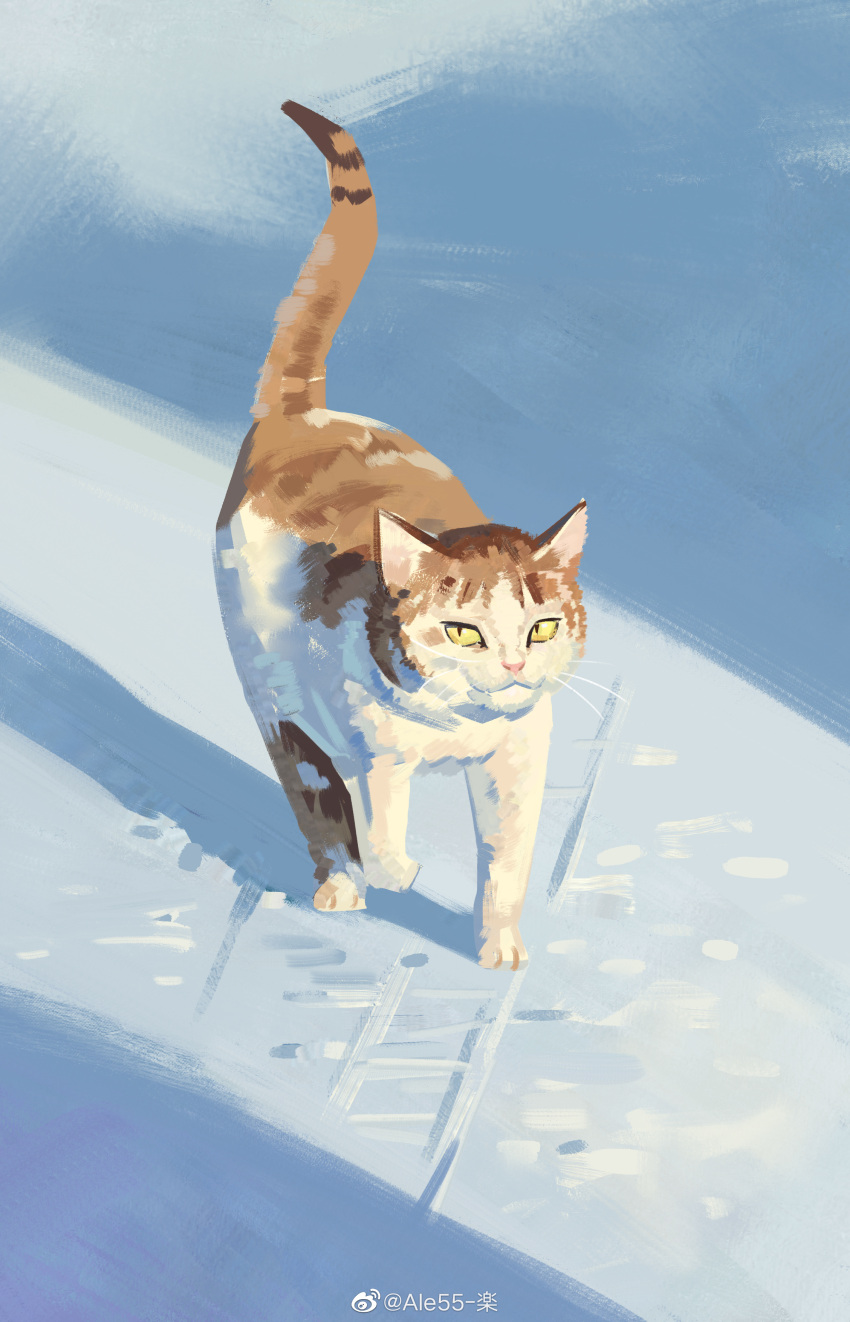 absurdres ale55 animal_focus brown_fur cat colored_sclera footprints highres looking_at_viewer no_humans original painterly snow sunlight tail_raised walking yellow_sclera