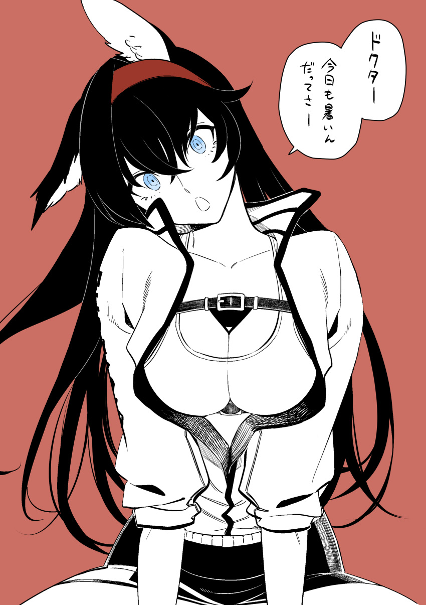 1girl :o absurdres animal_ear_fluff animal_ears arknights black_hair blaze_(arknights) blue_eyes breasts buckle cat_ears cleavage collar head_tilt highres jacket large_breasts limited_palette long_hair long_sleeves looking_at_viewer miniskirt open_clothes open_jacket open_mouth rasupekuto red_background shirt simple_background sitting skirt solo speech_bubble translation_request upper_body very_long_hair