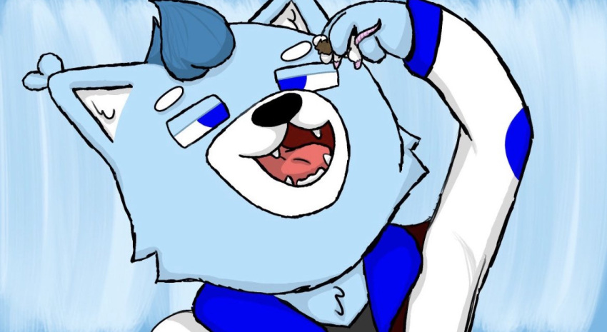 anthro blue_body blue_eyes blue_fur blue_hair brown_hair canid canine clothing duo feral fox fur hair imminent_death imminent_vore jacket macro male male/male mammal micro mouse murid murine open_mouth robmouse67 rodent tired_eyes tired_look topwear vore white_body white_fur