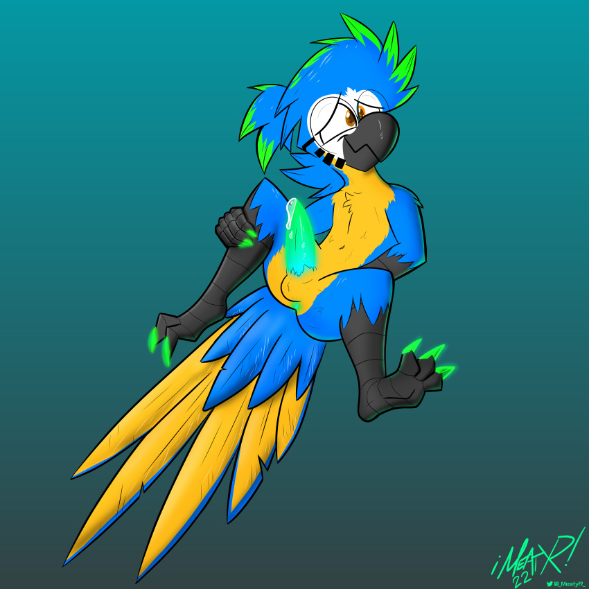 3_toes absurd_res anthro anus ara_(genus) avian beak bioluminescence bird bird_feet blue-and-yellow_macaw blue_body butt claws feathers feet genitals glowing glowing_anus glowing_claws glowing_genitalia glowing_penis green_claws hi_res macaw male meatyr mitchell_(meatyr) neotropical_parrot nervous_smile parrot penis presenting presenting_hindquarters presenting_penis solo spread_legs spreading tail_feathers toes true_parrot yellow_body yellow_feathers