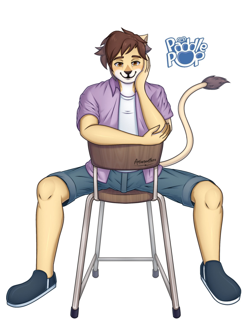 animanthro anthro blue_bottomwear blue_clothing blue_shorts blush bottomwear brown_hair brown_tail_tuft chair clothing felid footwear fur furniture hair hand_on_cheek hi_res leaning_on_arm lidded_eyes lion logo looking_at_viewer male mammal max_(paddle_pop) narrowed_eyes on_chair paddle_pop pantherine purple_clothing purple_shirt purple_topwear shirt shoes shorts simple_background sitting sitting_backwards sitting_on_chair smile smiling_at_viewer solo tan_body tan_fur topwear white_background white_undershirt yellow_eyes
