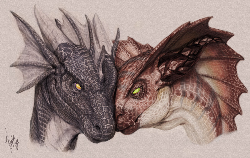 2019 ambiguous_gender brown_scales digital_media_(artwork) dragon duo ear_fins feral fin grey_background grey_scales head_fin hi_res horn khyaber multicolored_scales orange_eyes scales scalie signature simple_background two_tone_scales white_scales yellow_eyes