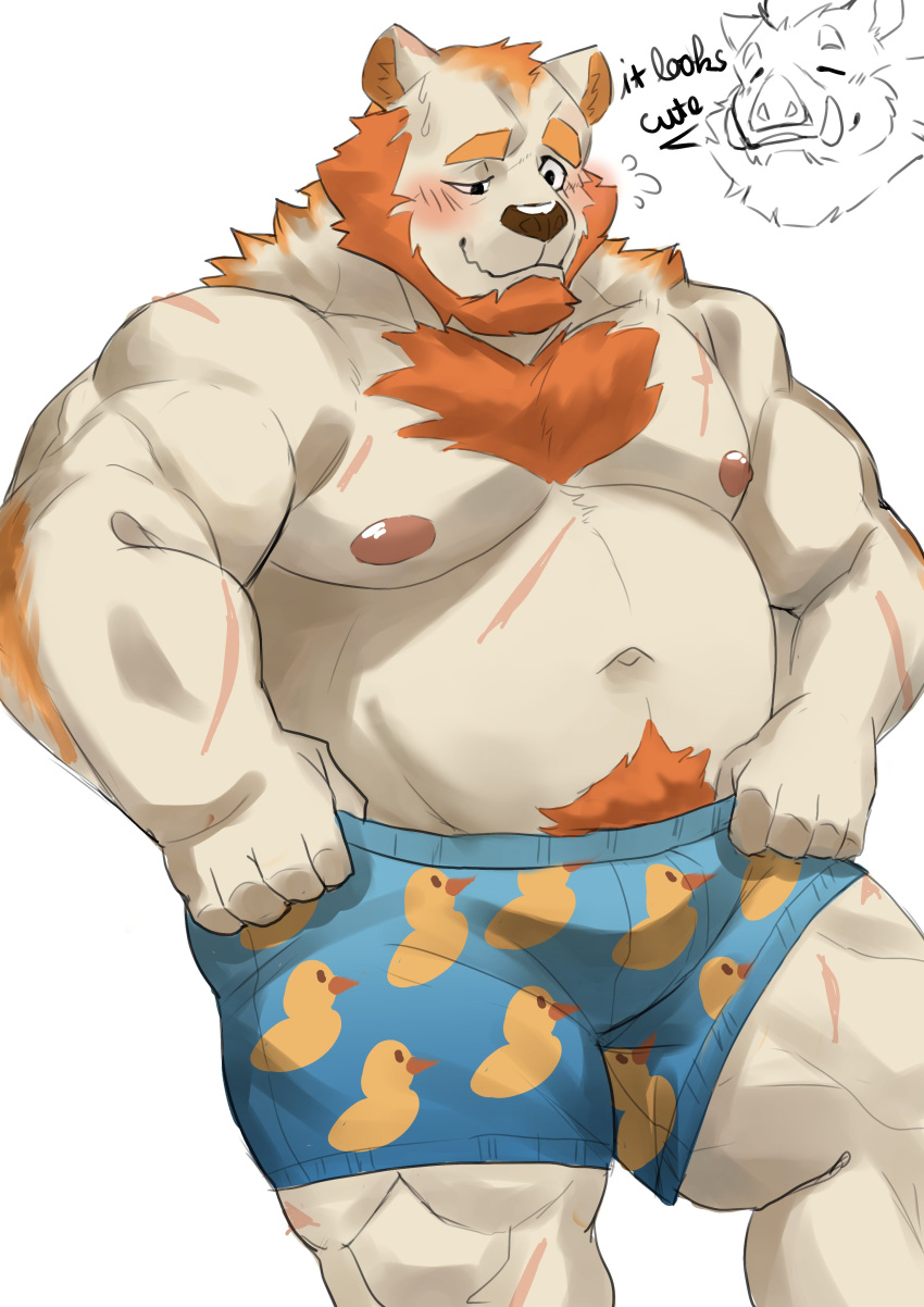 2022 absurd_res anthro beard belly blush clothing facial_hair hi_res humanoid_hands kemono lhjal2 male mammal moobs musclegut navel nipples overweight overweight_male scar suid suina sus_(pig) underwear ursid wild_boar