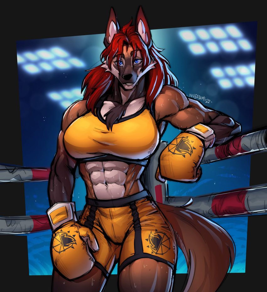 2022 abs amira_winters anthro athletic athletic_anthro athletic_female biceps big_breasts black_nose blue_eyes bodily_fluids bottomwear boxing_gloves bra breasts brown_body brown_fur canid canine chest_tuft clothed clothing digital_media_(artwork) female fighting_ring fur hair handwear hi_res inner_ear_fluff inugatami long_hair looking_at_viewer mammal maned_wolf muscular muscular_anthro muscular_female navel red_hair shorts signature smile solo sports_bra standing sweat tuft underwear yellow_bottomwear yellow_boxing_gloves yellow_bra yellow_clothing yellow_handwear yellow_shorts yellow_underwear