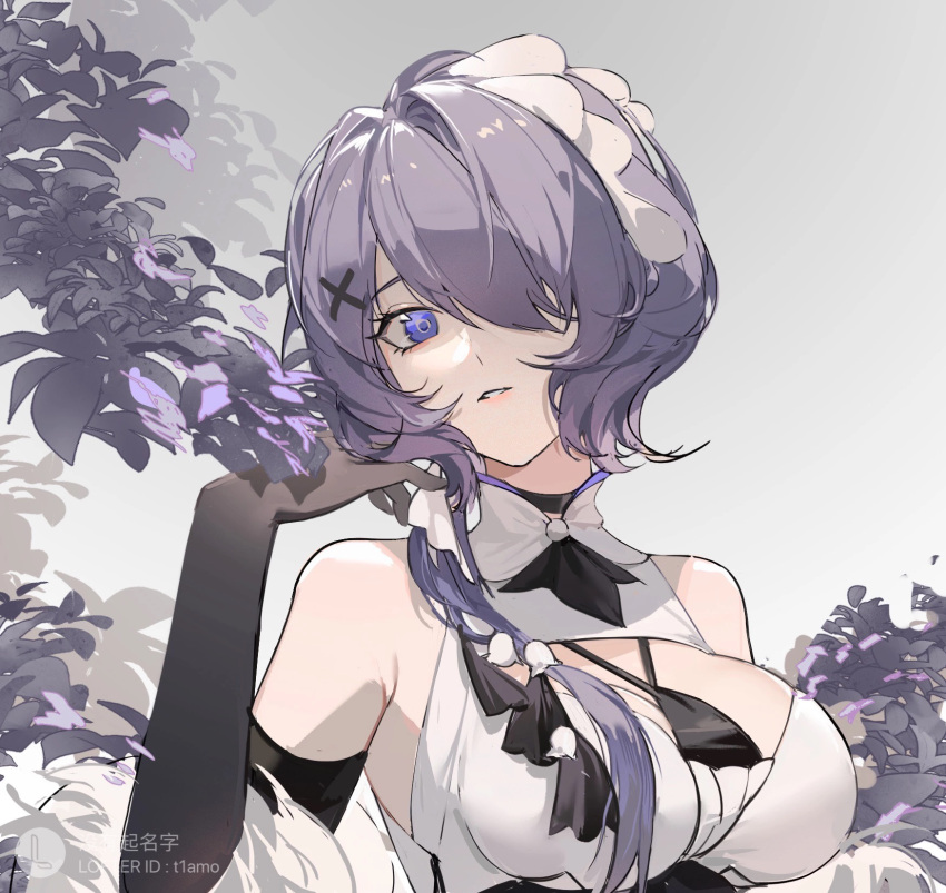 1girl arknights armpit_crease bare_shoulders black_choker black_gloves blue_eyes choker elbow_gloves eyelashes flower gloves grey_eyes hair_ornament hair_over_one_eye highres lofter_username long_eyelashes long_hair looking_at_viewer multicolored_eyes parted_lips pink_lips purple_flower purple_hair solo upper_body whisperain_(arknights) x_hair_ornament yeyuanqianqianqian