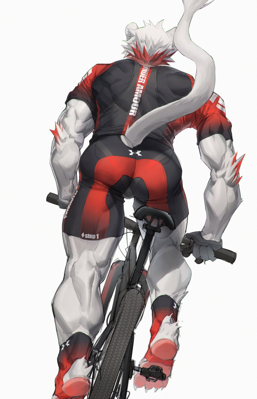 2022 anthro barefoot bicycle bike_shorts bottomwear butt clothing domestic_cat feet felid feline felis hallyswift handlebars hi_res looking_away male mammal shirt shorts simple_background solo topwear white_background