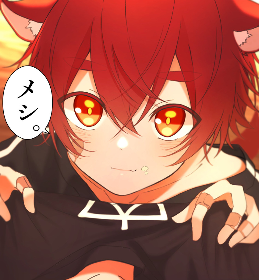 1boy :3 animal_ears bandaid bandaid_on_hand black_shirt blush child closed_mouth food food_on_face highres looking_at_viewer looking_up male_child male_focus original pov red_hair shirt short_hair short_sleeves solo tatsu_wan thick_eyebrows translation_request wolf_boy wolf_ears