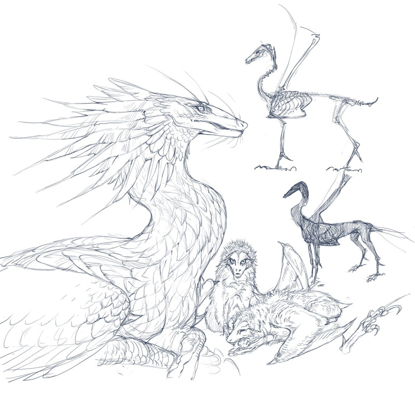 2022 ambiguous_gender digital_media_(artwork) dragon feathered_dragon feathered_wings feathers feral hi_res nukerooster wings
