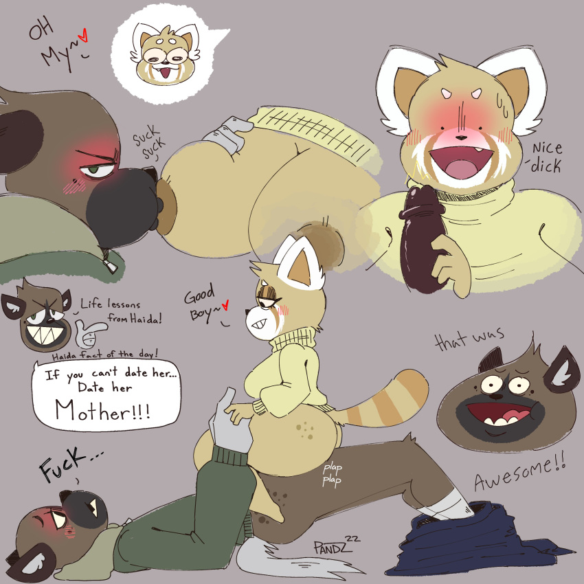 absurd_res aggressive_retsuko ailurid anthro bad_sex_advice barrypark11 blush clothed clothing colored cowgirl_position duo english_text female from_front_position genitals haida hand_holding handjob hi_res humanoid_genitalia humanoid_penis hyaenid male male/female mammal mature_female nipple_fetish nipple_play nipple_suck on_bottom on_top partially_clothed penile penis red_panda retsuko's_mother sanrio sex size_difference sucking sweater text topwear