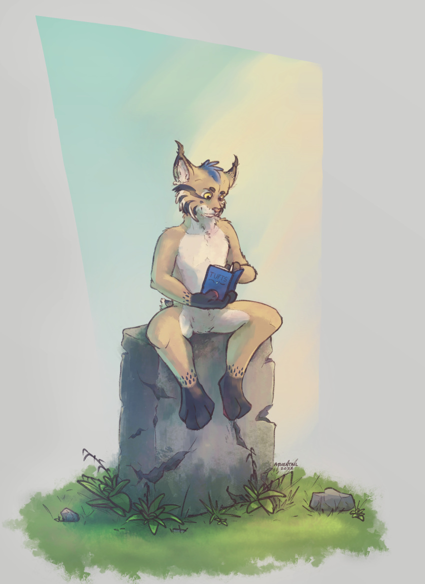 absurd_res anthro ashentail blue_hair book digital_media_(artwork) digital_painting_(artwork) felid feline fur grass hair hi_res iberian iberian_lynx light_body light_fur looking_down lynx male mammal nature painted plant reading reading_book solo solo_focus tuft