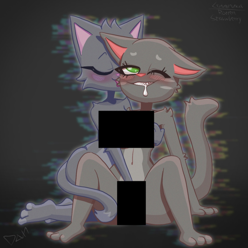 anthro censored crossgender domestic_cat duo felid feline felis female female/female fur green_eyes grey_body grey_fur hi_res mammal penetration rotten_strawberry selfcest square_crossover talking_friends talking_tom