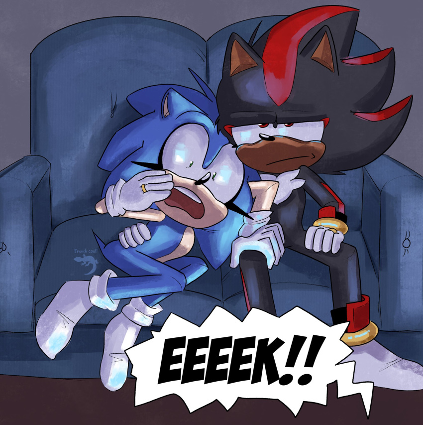 annoyed anthro clothing duo eulipotyphlan footwear furniture gasp hedgehog hi_res male male/male mammal married_couple scared sega shadow_the_hedgehog socks sofa sonic_the_hedgehog sonic_the_hedgehog_(series) trenchcoatgecko watching_movie watching_tv white_clothing white_footwear white_socks