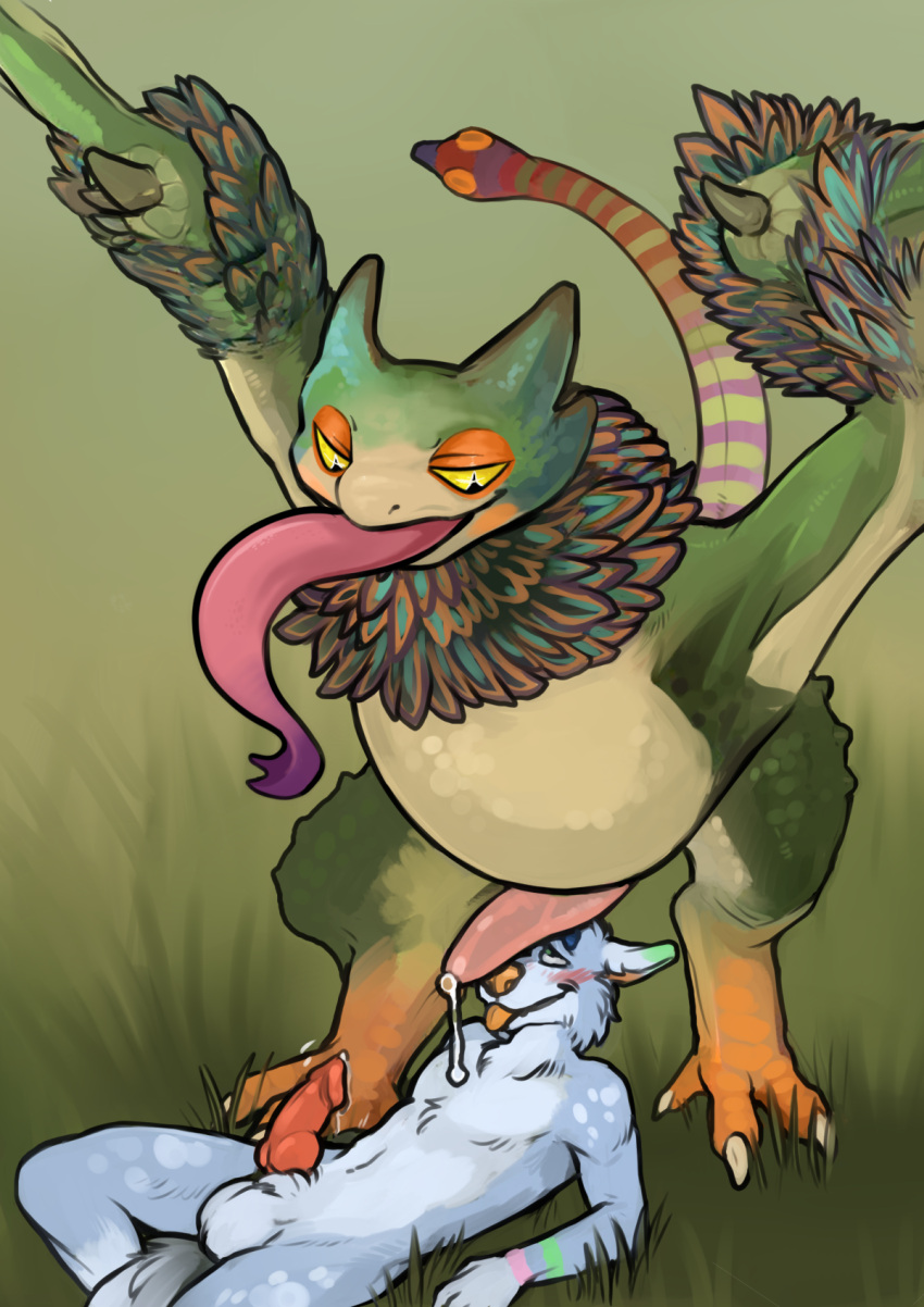 anthro bird_wyvern blush bodily_fluids canid canine canis capcom duo genital_fluids genitals hi_res iynize lying male male/male mammal monster_hunter on_back penis penis_on_face precum pukei-pukei throbbing tongue tongue_out torakuta video_games wolf