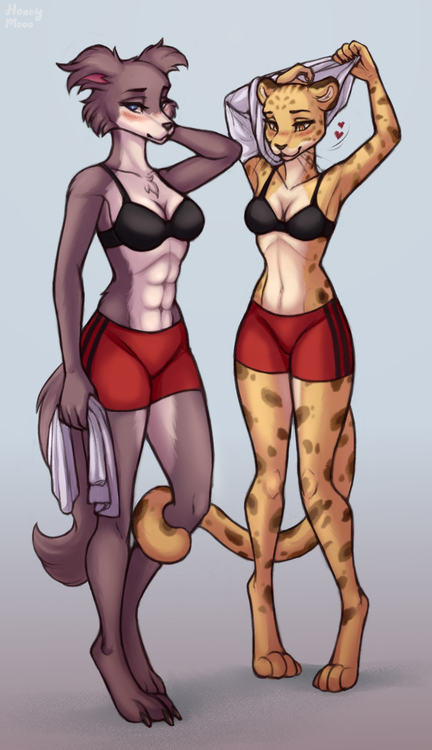 &lt;3 2022 4_toes 5_fingers abs anthro athletic athletic_anthro athletic_female barefoot beastars black_bra black_clothing black_nose black_underwear blush bottomwear bra breasts canid canine canis cheetah claws cleavage clothed clothing digital_media_(artwork) digitigrade duo feet felid feline female female/female fingers fur grey_body grey_fur hi_res hindpaw honeymooo humanoid_hands juno_(beastars) mammal navel paws sheila_(beastars) shorts smile spots spotted_body spotted_fur story story_in_description toe_claws toes underwear undressing whiskers wolf yellow_body yellow_fur