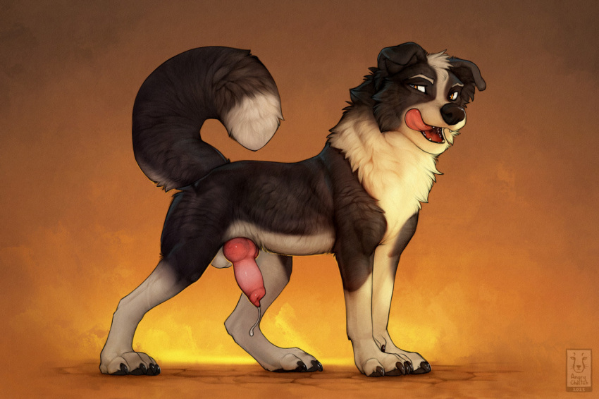 2022 4_toes anchee black_body black_fur brown_eyes canid canine canis digital_media_(artwork) domestic_dog feet feral fur knot male mammal open_mouth paws simple_background solo teeth toes tongue white_body white_fur