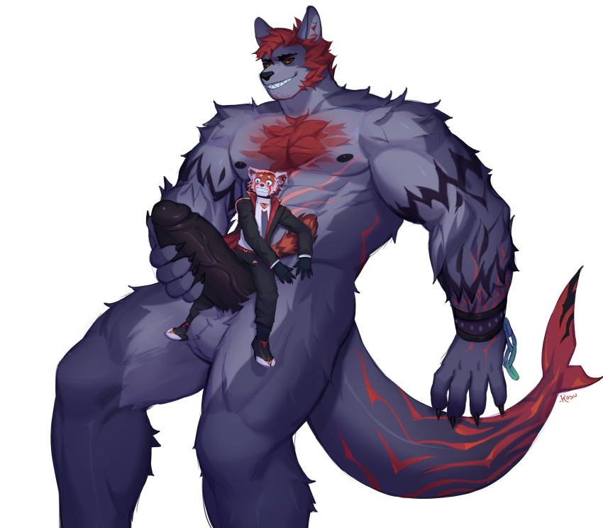 5_fingers absurd_res ailurid anthro balls biceps big_muscles big_penis black_bottomwear black_clothing black_pants black_sclera bottomwear bracelet chest_tuft clothing countershade_torso countershading duo fingers fluffy fluffy_tail fur genitals gloves grey_body grey_fur hair handwear hi_res huge_penis hybrid jewelry looking_at_genitalia looking_at_penis macro male male/male mammal masturbation muscular muscular_male muscular_thighs nipples orange_eyes pants pecs penis red_body red_fur red_hair red_panda rosutoriano scar scared shark_tail simple_background size_difference suit tuft vein veiny_penis white_background