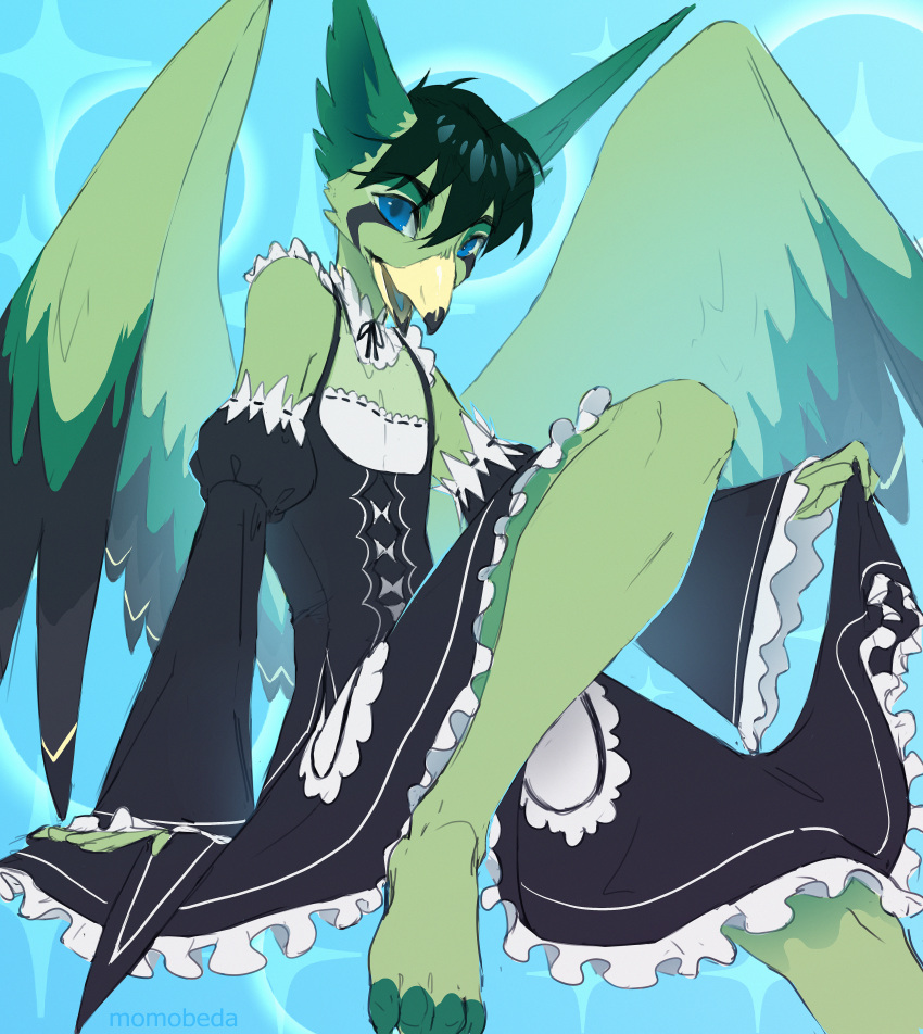 absurd_res anthro avian beak big_ears bird blue_eyes clothed clothing crossdressing enelorin feathers hair hi_res huge_filesize maid_uniform male momobeda open_mouth open_wings paws simple_background solo uniform wings