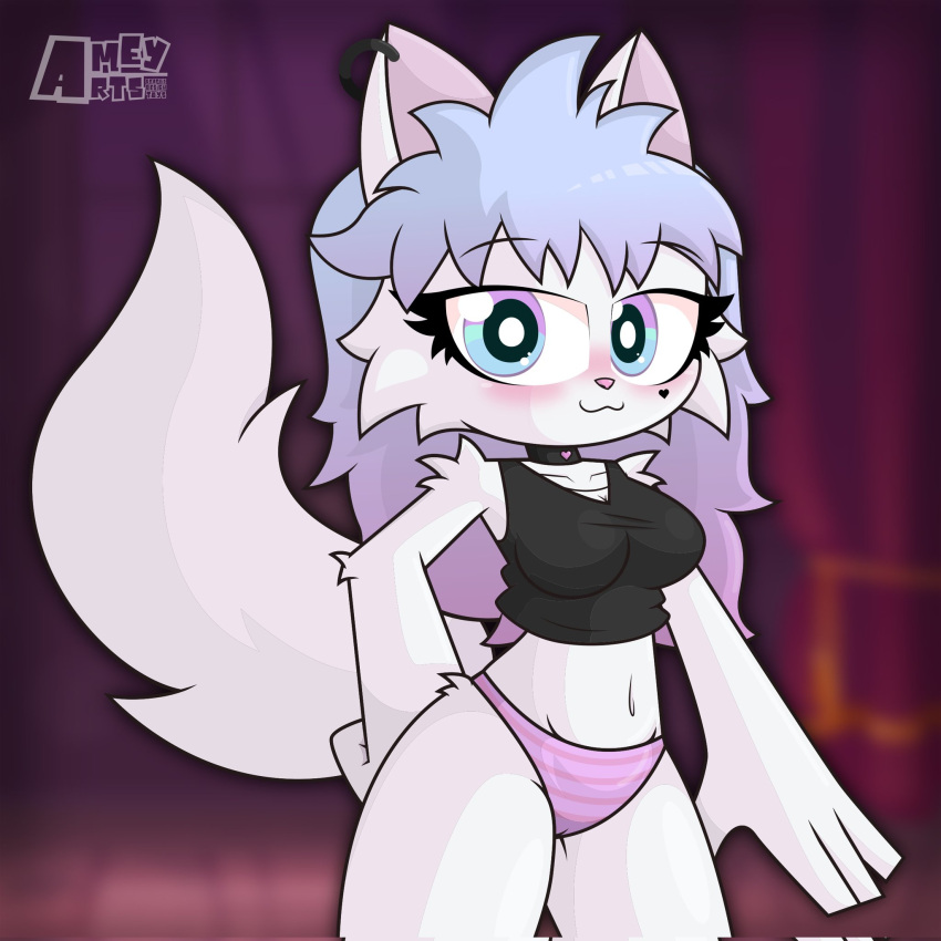 &lt;3 amey_arts anthro blue_hair blush britney_(chaclaveloz) clothed clothing collar domestic_cat ear_piercing ears_up eyeball felid feline felis female hair hi_res looking_at_viewer mammal multicolored_hair open_clothing open_shirt open_topwear panties piercing pupils purple_hair raised_tail shirt smile smiling_at_viewer solo topwear two_tone_hair underwear white_body