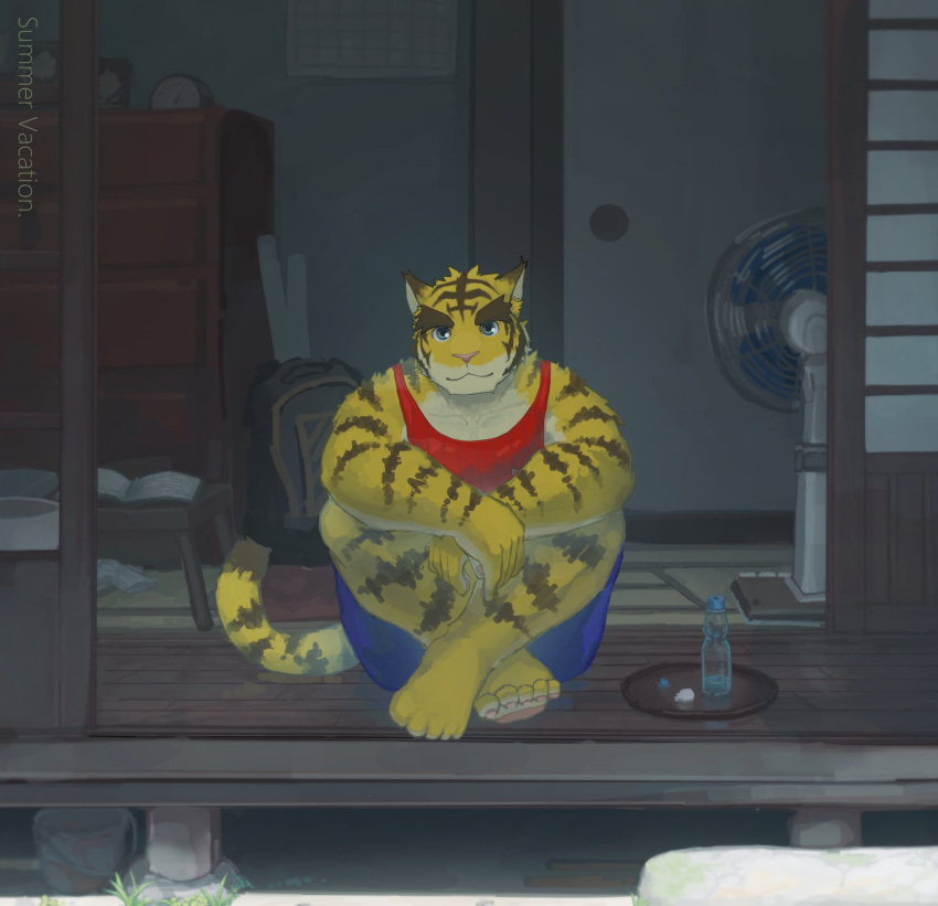 2022 7gaku_7 anthro barefoot blue_bottomwear blue_clothing blue_eyes blue_shorts bottomwear brown_stripes clothed clothing countershade_arms countershade_face countershade_torso countershading crossed_legs english_text feet felid fully_clothed fur hi_res looking_at_viewer male mammal morenatsu multicolored_body multicolored_fur pantherine pink_nose plantigrade porch red_clothing red_shirt red_tank_top red_topwear shirt shorts sitting solo striped_body striped_fur stripes tan_body tan_countershading tan_fur tank_top text tiger topwear torahiko_(morenatsu) video_games visual_novel yellow_body yellow_fur