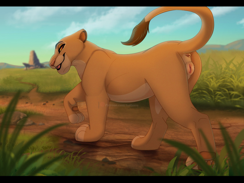 anus black_bars disney felid female feral genitals hailberry letterbox lion mammal pantherine pride_rock pridelands pussy raised_tail rear_view sarabi solo tail_tuft the_lion_king tuft