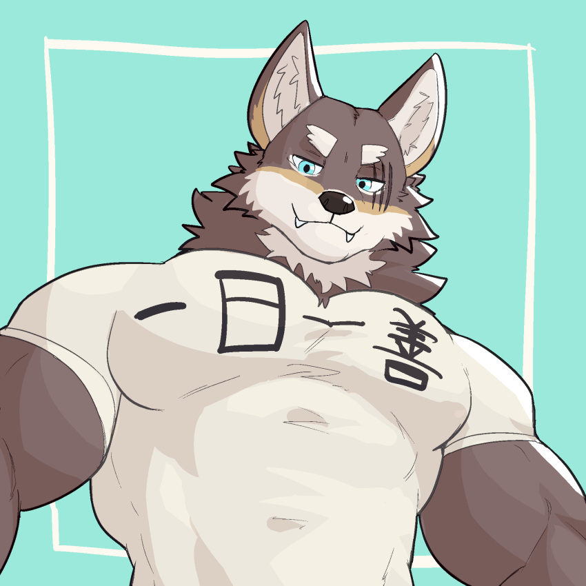 2022 anthro biceps big_muscles big_pecs blue_background canid canine canis clothed clothing eyebrows fangs fur hi_res japanese_text jrjresq looking_at_viewer low-angle_view male mammal muscular muscular_anthro muscular_male ogami_aratsuka pecs scar shirt simple_background smile solo t-shirt teeth text text_on_clothing text_on_shirt text_on_topwear tight_clothing topwear translation_request tuft virtual_youtuber vtuber wolf