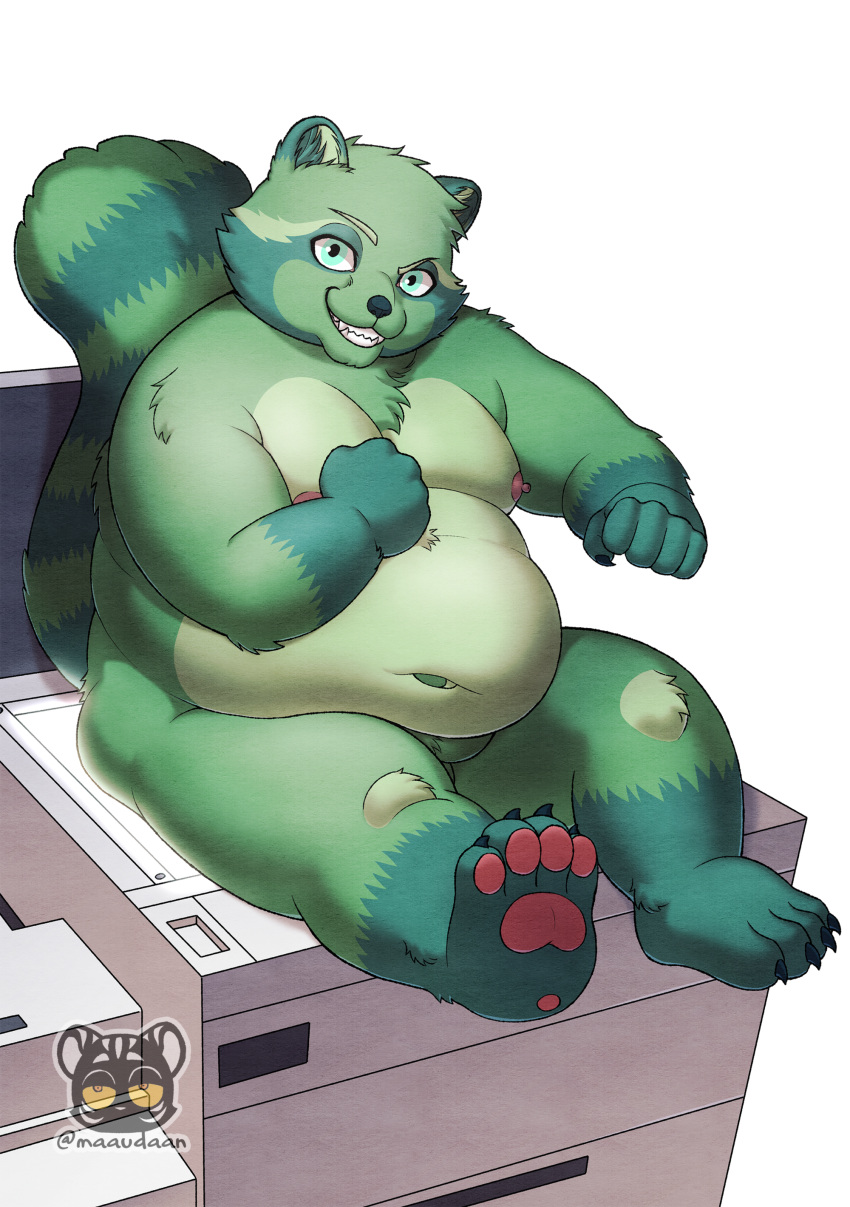 absurd_res anthro dwarfism fred_(fredrick_brennan) fur green_body green_fur hi_res kemono maaudaan_tg male mammal overweight overweight_male procyonid raccoon solo