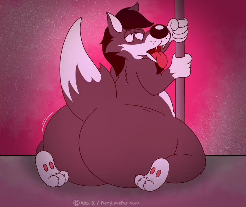 ahegao anthro belly belly_overhang big_butt black_hair black_nose bouncing_butt butt canid canine canis chubby_anthro chubby_cheeks chubby_male feet fur furrylovepup_v2 girly grey_body grey_fur hair hindpaw holding_object holding_tube horny looking_pleasured looking_up male mammal motion_lines multicolored_body multicolored_fur nude paws performance performing pink_background pole presenting presenting_hindquarters raised_tail simple_background slutty_face solo stripper stripper_pole thick_thighs tongue tongue_out toony two_tone_body two_tone_fur white_body white_fur wide_hips wolf