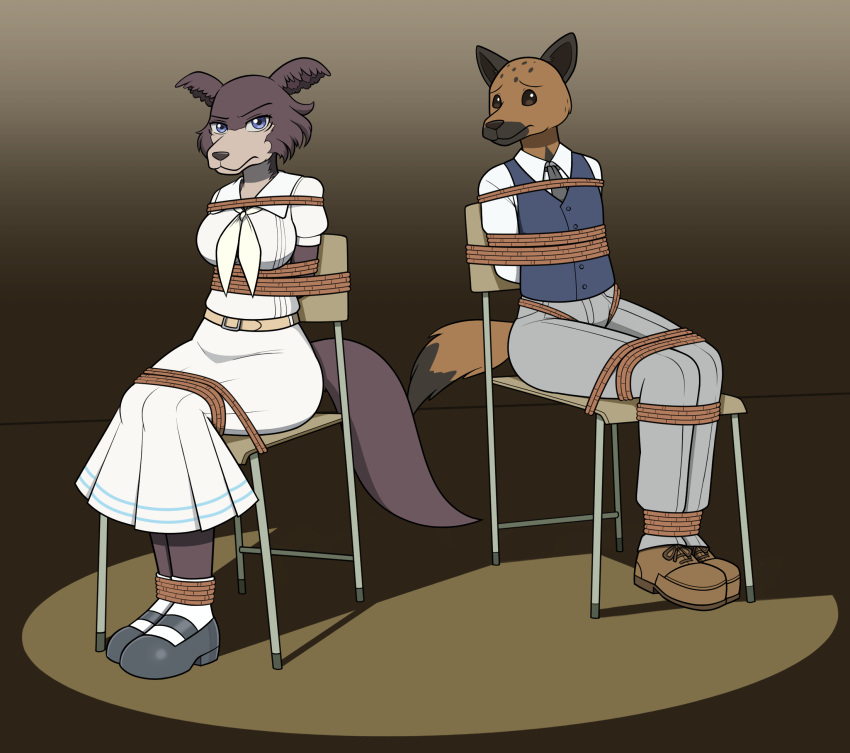 anthro bdsm beastars bondage bound canid canine canis chair chair_bondage clothing crotch_rope duo female furniture hi_res hyaenid juno_(beastars) looking_at_viewer male male/female male_and_female_submissive mammal miguno_(beastars) nivek15 restraints rope rope_bondage school_uniform spotlight submissive submissive_female submissive_male uniform wolf