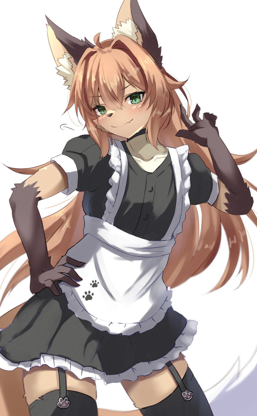 2022 5_fingers ahoge an_chobi94 anthro blush brown_body brown_fur canid canine clothed clothing crossdressing cute_fangs fingers footprint fox fur garter_straps girly gloves_(marking) green_eyes hair hand_on_hip hi_res inner_ear_fluff kemono legwear long_hair looking_at_viewer maid_apron maid_uniform male male_anthro mammal markings multicolored_body multicolored_fur orange_hair pawprint portrait pose simple_background solo tan_body tan_fur thigh_highs three-quarter_portrait translated_description tuft uniform white_background white_body white_fur