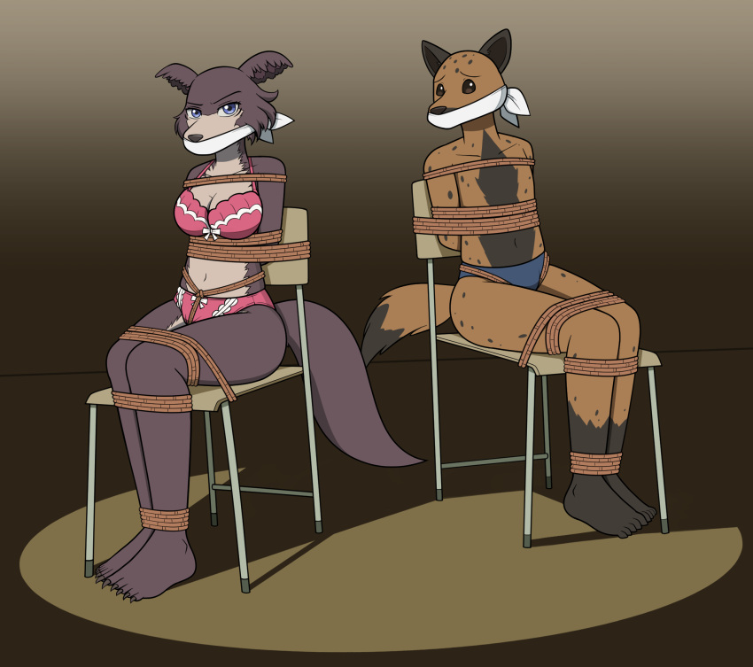 anthro bdsm beastars bondage bound bra canid canine canis chair chair_bondage clothing crotch_rope duo female furniture gag hi_res hyaenid juno_(beastars) looking_at_viewer male male/female male_and_female_submissive mammal miguno_(beastars) nivek15 otm_gag panties restraints rope rope_bondage spotlight submissive submissive_female submissive_male underwear wolf