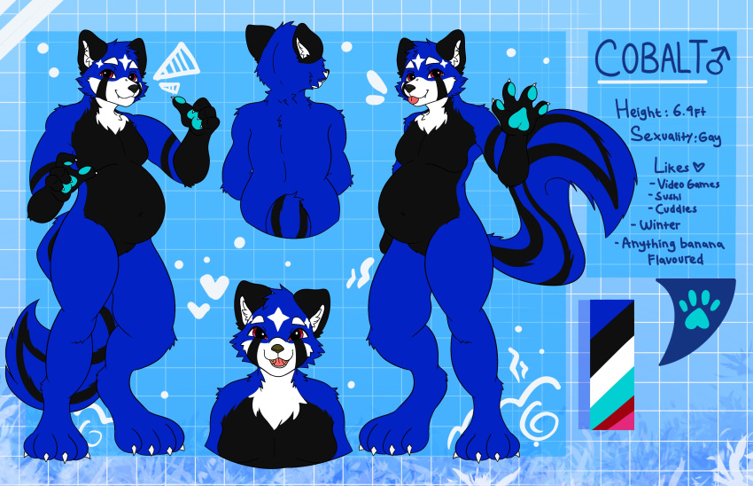 absurd_res ailurid anthro belly black_body black_fur black_nose blue_body blue_fur cheek_tuft claws cobalt_pandaskunk ears_up eyebrows facial_markings facial_tuft fangs front_view fur hair head_markings hi_res hybrid inner_ear_fluff male mammal markings mephitid open_mouth pawpads rear_view red_panda skunk smile solo stripes tail_markings teeth text thick_thighs toe_claws tongue tongue_out trindarts tuft white_body white_fur wide_hips