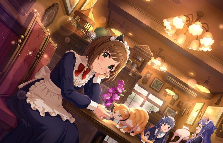 3girls animal animal_ears apron artist_request asari_nanami bangs blue_hair blunt_bangs blush bow brown_hair cafe cat cat_cafe cat_ears chandelier clock frilled_apron frills green_eyes idolmaster idolmaster_cinderella_girls idolmaster_cinderella_girls_starlight_stage indoors long_hair maekawa_miku maid maid_apron maid_headdress multiple_girls official_art orange_cat plant red_eyes restaurant sajo_yukimi sitting smile table waitress white_apron white_cat